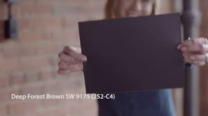 Shop deck stains & paint. Sherwin Williams For Design Pros Deep Forest Brown Sherwin Williams Facebook