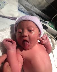 Aaron Bernal (@aaronrbernal) • Instagram photos and videos