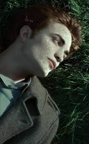 🎓Twilight Shitposting🥗