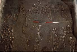 Ancient skeletons have a random chance to spawn near players on any island or fort, in adventure mode and the arena. More Than 1 000 Ancient Skeletons Found Beneath Cambridge University Ancient Origins