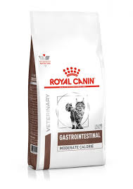 Feline pancreatitis is on the rise so learn about the causes and symptoms of pancreatitis in cats and how to address this disease. Royal Canin Gastro Intestinal Moderate Calorie Adult Cat Food