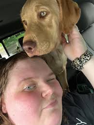 The Otto Bot got his first introduction to a fake duck yesterday. He didn't  get the memo that show dogs are supposed to be lumps.