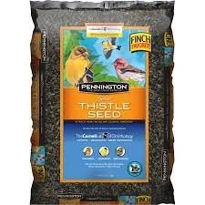 Pin By Stanislava Pepelyankova On Bird Seed In 2021 Pennington Thistle Seed Seeds