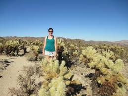 › joshua tree national park. Cholla Cactus Garden Trail Hiking Trail Twentynine Palms California