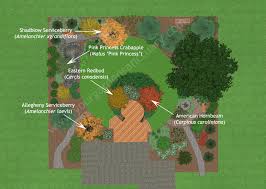 The redbud is a poplar ornamental tree, which can be found in many gardens and streetscapes. Trees For An Ecological Backyard