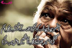 Pin On Urdu Ashar