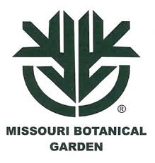 Image result for Aneulophus congoensis