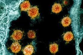 The lipid bilayer is very thin compared to its lateral dimensions. Coronavirus What Is The Lambda Variant Should You Be Worried Deseret News