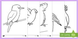 Signup to get the inside scoop from our monthly newsletters. Australian Animal Outlines And Templates Colouring Sheets