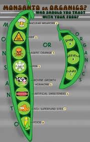 Check spelling or type a new query. Monsanto Sourcewatch
