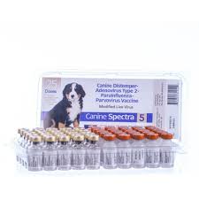 Be sure to keep up with your puppy vaccination schedule as those first vaccinations play a significant part in your puppy's health. Canine Spectra 5 5 Way Dog Vaccine Tray 25 Dose