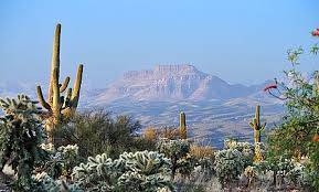 Deșerturile Statului Arizona Wikipedia
