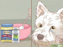 What causes tear stains on dogs? 3 Ways To Remove A Tear Duct Stain From White Dogs Wikihow