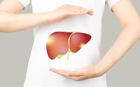 What You Should Know About Your Liver | Nashville General Hospital