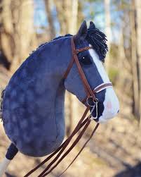 The existence of hobby horses can be traced back many centuries and across many cultures. Hi My Followers From Abroad You Are All Warmly Welcome To Finland To World S Biggest Hobby Horse Event 28 7 2018 Especially W Steckenpferd Stockpferde Hobbys