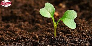Soil Building Seminar