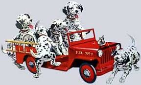 If you're looking for the best name for a schnauzer. Miniature Schnauzer Dog Names