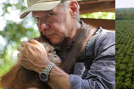 Food and Agriculture