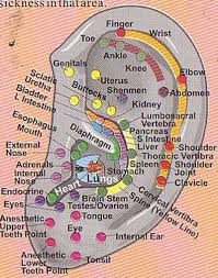 Acupressure Points On Ears Net Auriculotherapy Ear