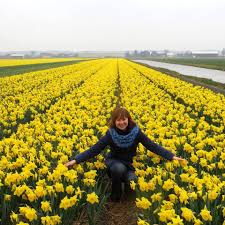 «а я мріяла про мільйон тюльпанів і сьогодні мені їх. Yak Zhivut Ukrayinci U Niderlandah 21 02 2018 20 Hvilin Ternopil