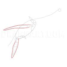 How To Draw The Loch Ness Monster, Draw Nessie, Step By Step, Drawing  Guide, By Alatriste - Dragoart