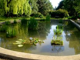 Vizualizezi pagina obiectivului turistic gradina botanica din galati, romania. FiÈier Iasi GrÄdina BotanicÄ 16 Jpg Wikipedia