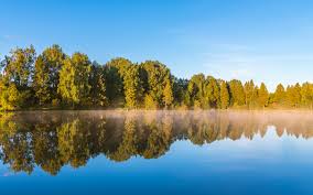 You can also upload and share your favorite nature 4k wallpapers. Download Fog Over Lake Reflections Tree Nature Wallpaper 3840x2400 4k Ultra Hd 16 10 Widescreen