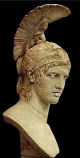 daisy steed (18steeddail)