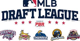 The players are ranked by an aggregate average ranking from individual top 500 ranks by joe doyle, geoff pontes, tyler jennings, ian smith and. Information On New Mlb Draft League Who Will Play For The Black Bears What Is The Mlb Draft League And When Will They Begin Play Wboy Com