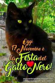 Cdb Cartoline Per Tutti I Gusti Cartolina Oggi 17 Novembre E La Festa Del Gatto Gatto Nero Gatti Gattini Divertenti