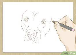 Click here to save the tutorial to pinterest! How To Draw A Pitbull With Pictures Wikihow