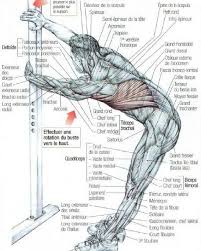 Pin On Fittness