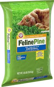 Each one has its own interesting personality and unique characteristics that make them stand out. 9 Best Natural Cat Litter Alternatives That Are Healthy And Safe Reviews