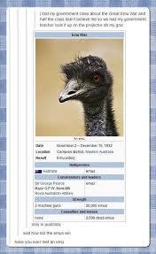 An Emusing Story Tumblr Funny Funny Pictures Emu War