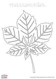epingle sur herbier et botanique coloriage dragons