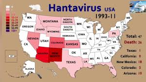 Map of the current situation for the noval coronavirus. Map Timelapse Of The Hantavirus In The Usa 1993 2018 Youtube