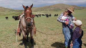 Wyoming Stories