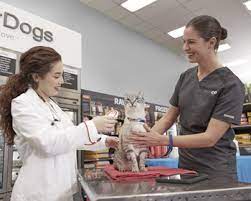 Along the way, you have to make hundreds of decisions for your pet. Vetco Pet Vaccination Microchip Clinic Chula Vista Petco