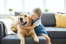 What is the best pet for a kid. Here Are The Best Pets For Kids According To A Vet Moshi