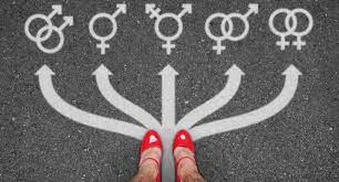 Pansexuality is a noun, and pansexual can be used as a noun or an. Pansexuell Funktioniert Liebe Ohne Geschlechterschranken