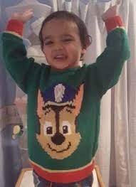 Paw Patrol Sweater Knitting Pattern Chase Children Jumper Knitting Pattern Sweater Knitting Patterns Knitting Patterns Free Hats