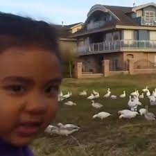 The photo with the most likes was submitted by Tim Mendoza, it going to be  our new cover photo for a while!