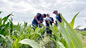 Colfax County Claims Top Honors at 2024 Youth Crop Scouting Competition