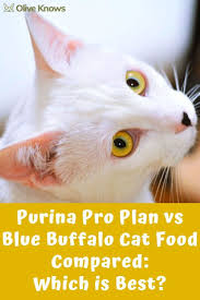 Purina Pro Plan Vs Blue Buffalo Cat Food Compared Which Is Best Cat Food Cat Food Pet Insurance Reviews Purina Pro Plan