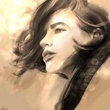 Red Postman Butterfly