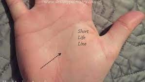 Short Life Line In Palmistry The Interesting Meaning Palmistry Life Line On Hand Palm Reading