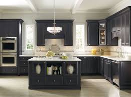 kitchen cabinet satisfaction study
