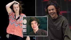 Settle onto the couch or around the kitchen table, grab some snacks, and put your smarts to the test! Quiz Prove You Re A True Harry Styles Fan And Match The Year To His Hairstyle Capital
