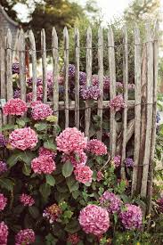 5 M Staketenzaun Aus Esskastanie 150 Cm Hoch 4 Cm Lattenabstand Garten Design Garten Cottage Garten