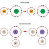 Pure ionic bonding is not known to exist. 1